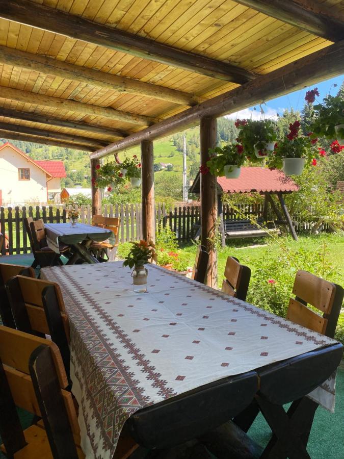 Guest house Pensiunea Puiu