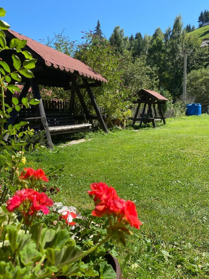 Pensiunea Puiu 2*