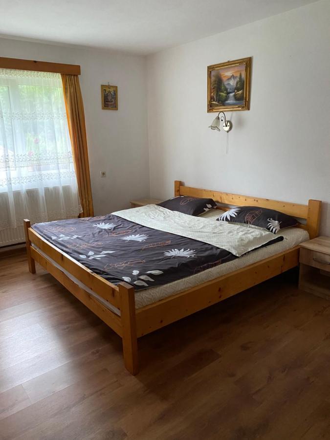 Pensiune Pensiunea Puiu 2*