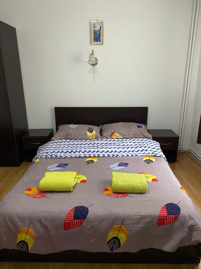 Pensiunea Puiu Guest house